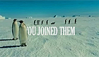 March of The Penguins II Spoof